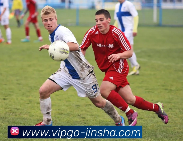 金沙娱乐城全站App